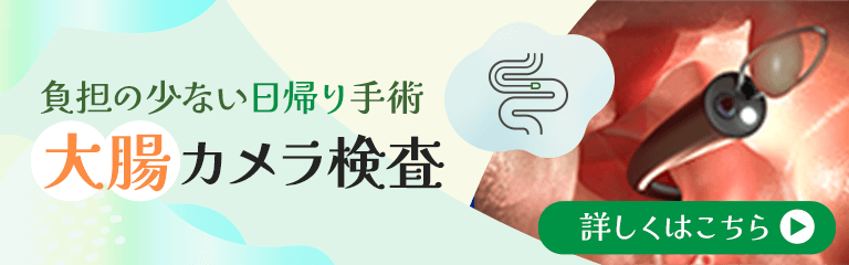 負担の少ない日帰り手術大腸カメラ検査